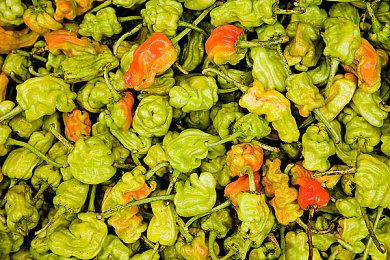 《最终幻想7：重生》最新情报将在下周的State of Play上发布