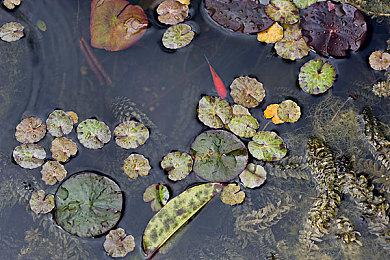 高尔夫也能竞速？《友尽高尔夫》推出了全新的“极速高尔夫”模式